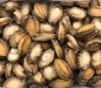 【食品進(jìn)口】海參、鮑魚等海味干貨報(bào)關(guān)指南