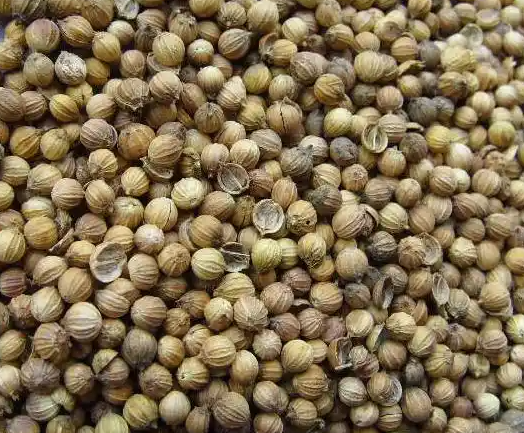 香菜籽進口.jpg