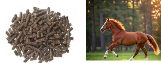 政策解讀-海關總署關于進口丹麥馬飼料檢疫和衛(wèi)生要求的公告