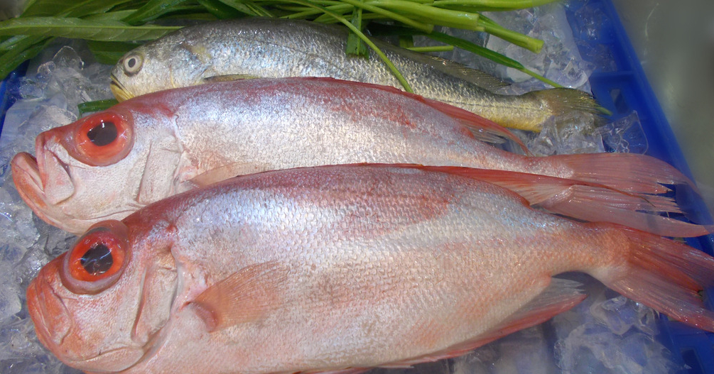 冰鮮魚.jpg