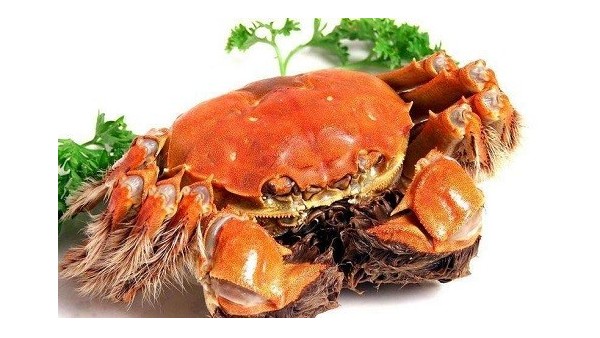 青島水產(chǎn)品進(jìn)口報關(guān)公司[提供清關(guān)指導(dǎo)]